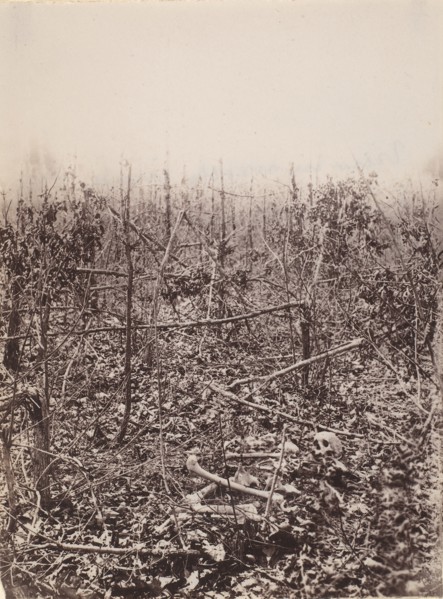 The Wilderness Battlefield, 1864.