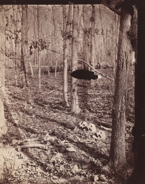 The Wilderness Battlefield, 1864.
