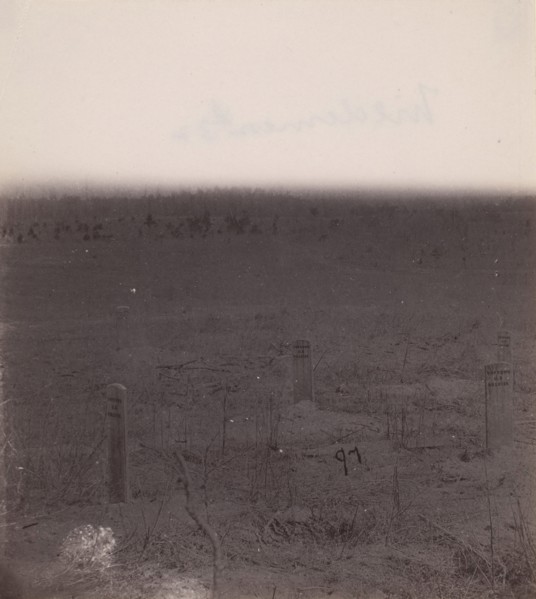 The Wilderness Battlefield, 1864.
