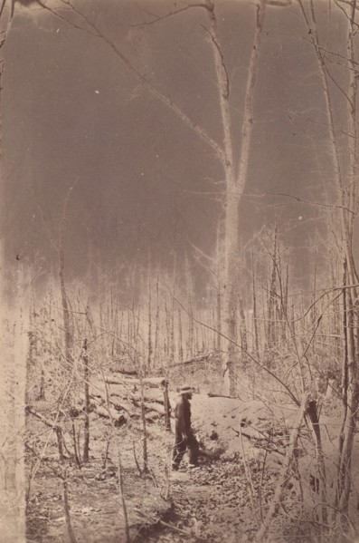 The Wilderness Battlefield, 1864.