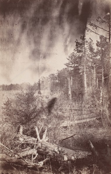 The Wilderness Battlefield, 1864.