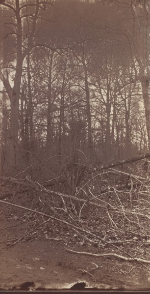 The Wilderness Battlefield, 1864.