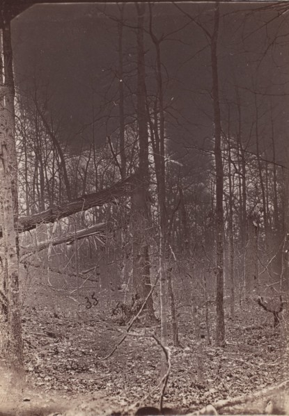The Wilderness Battlefield, 1864.