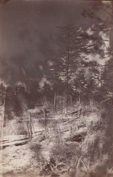 The Wilderness Battlefield, 1864.