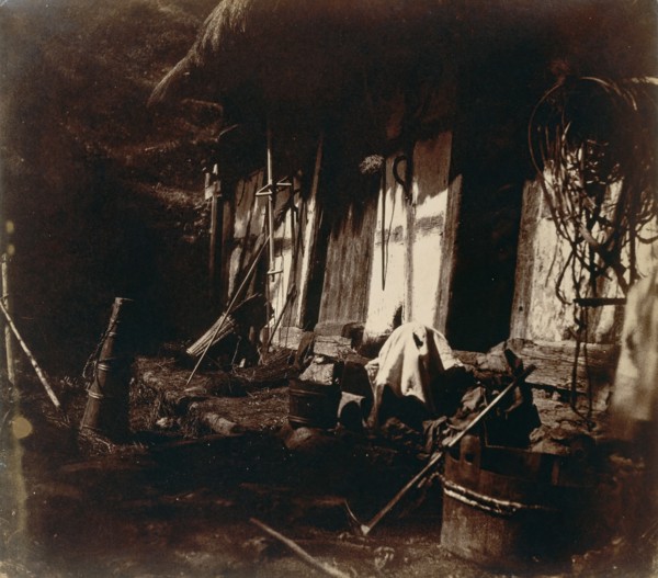 [Farmyard Scene], 1850-54.