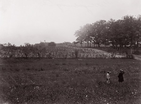 Gettysburg, Pennsylvania, 1863. Formerly attributed to Mathew B. Brady.