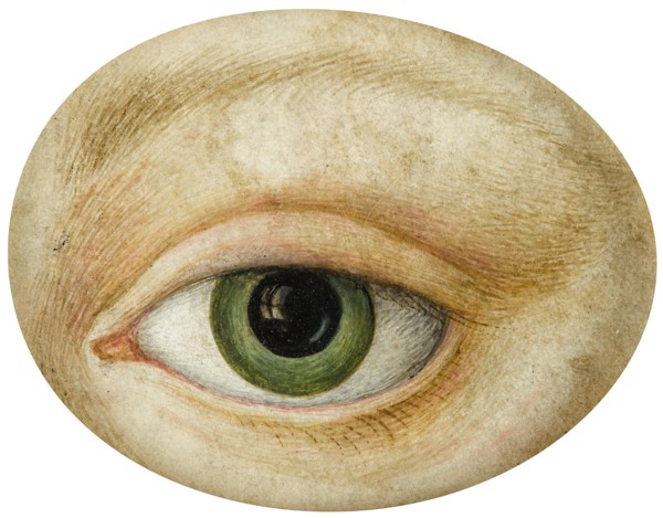 Eye, Early 19th cen.. Creator: Anonymous.