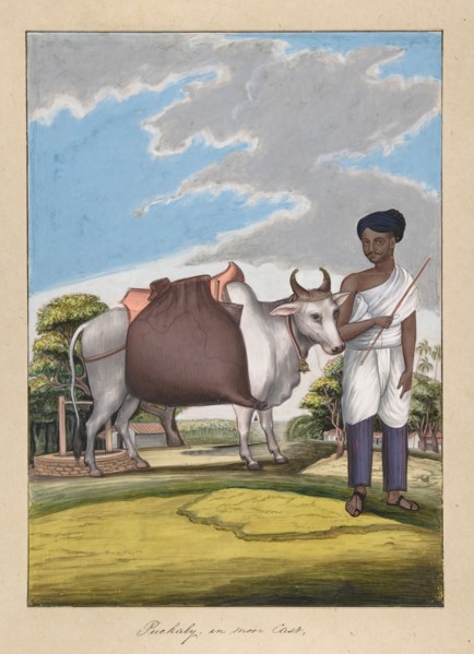 Puckaly in Moor Cast, from Indian Trades and Castes, ca. 1840. Creator: Anon.