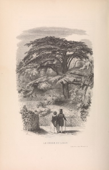 Le Jardin des Plantes, Descriptions et Moeurs des Mammiferes, 1842. Creator: Francois Boitard.