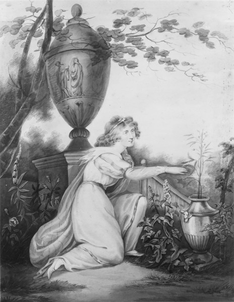 The Sensitive Plant, 1808. Creator: Maria Edgar.