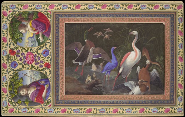 Aquatic Birds at a Pool, Folio from the Davis Album, 18th century. Creator: Unknown.