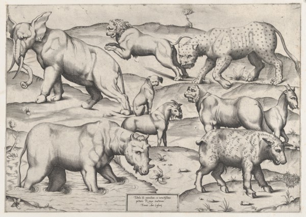 Speculum Romanae Magnificentiae: Wild Animals, from antique wall paintings, plate 2, 1547., 1547. Creator: Anon.