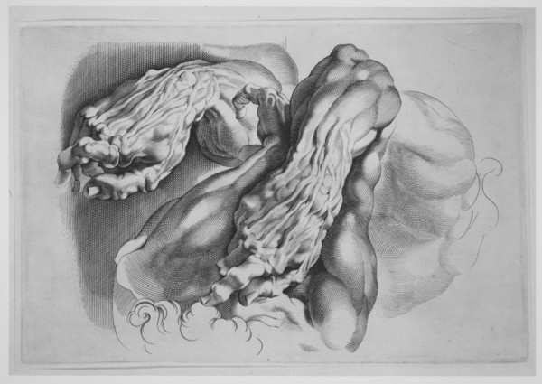 Three Studies of Écorchés, after 1640., after 1640. Creator: Paulus Pontius.