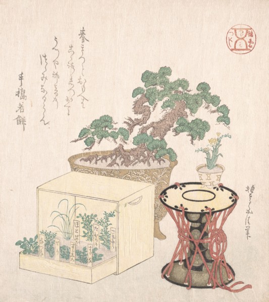 Potted Pine Tree, Drum and Seven Herbs Planted in a Box, 18th-19th century., 18th-19th century. Creator: Sunayama Gosei.