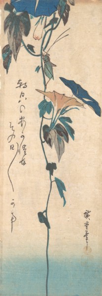 Grasshopper and Morning-glory Vine, ca. 1835., ca. 1835. Creator: Ando Hiroshige.