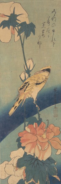 Black-naped Oriole Perched on a Stem of Rose Mallow, ca. 1834., ca. 1834. Creator: Ando Hiroshige.