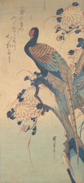 Pheasant with Chrysanthemums, ca. 1835., ca. 1835. Creator: Ando Hiroshige.