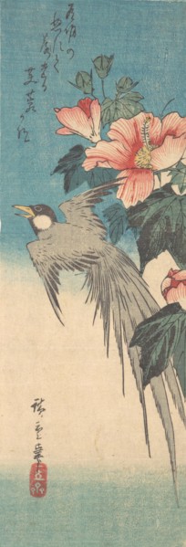 Hibiscus Mutabilis and Long-Tailed Bird, ca. 1842., ca. 1842. Creator: Ando Hiroshige.