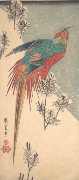 Golden Pheasant and Pine Shoots in Snow , ca. 1835., ca. 1835. Creator: Ando Hiroshige.