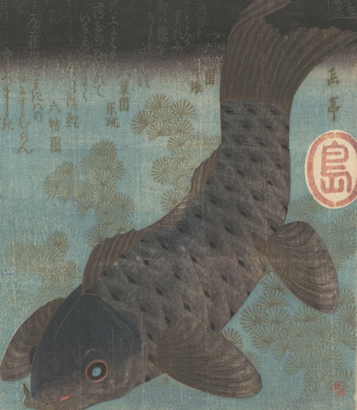 Carp and Pine.