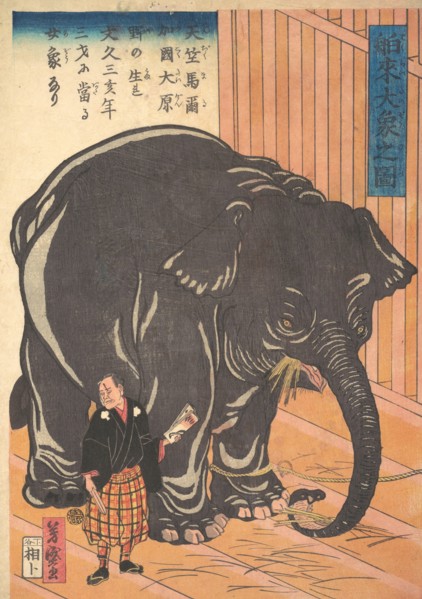 View of the Large Imported Elephant, 1863 (Bunkyo 3, 4th month).