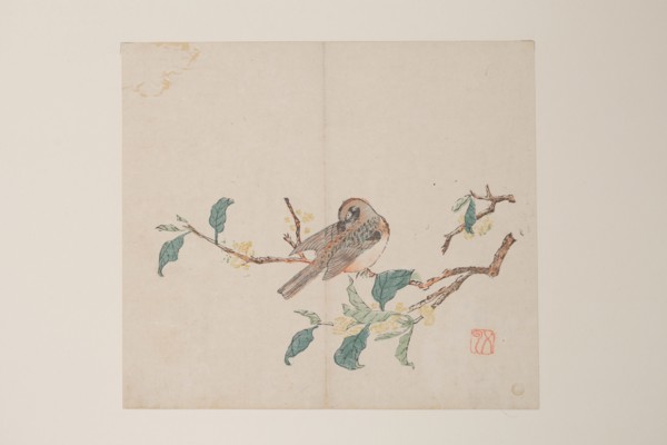Page from Shi Zhu Zhai.