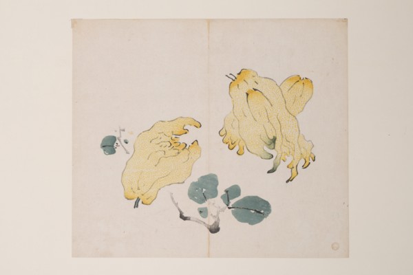 Page from Shi Zhu Zhai.