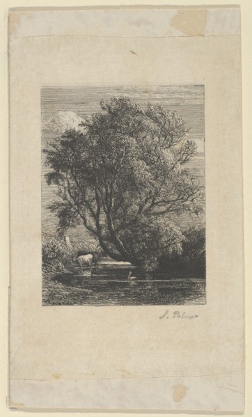 The Willow, 1850.
