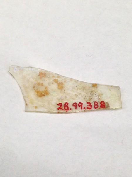 Fragment, European or Middle Eastern, ca. 1150-ca. 1250.