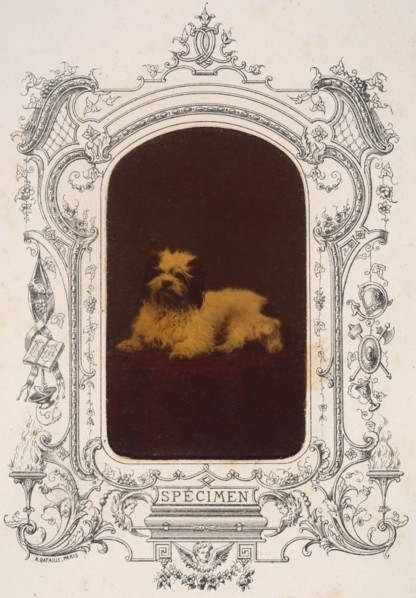 Les Chiens, 1860s.