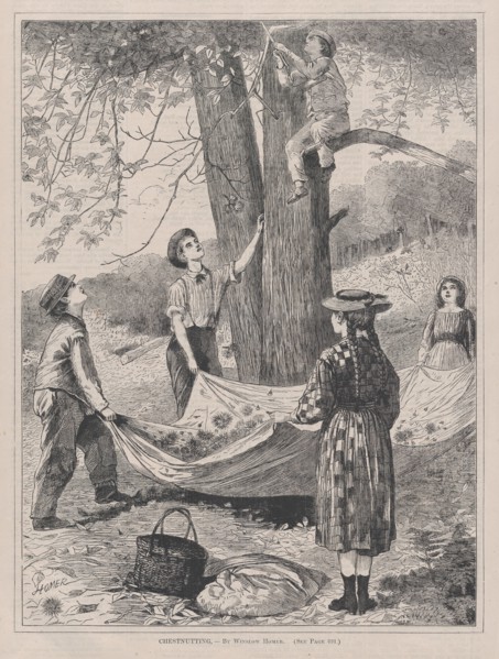 Chestnutting (Every Saturday, Vol. I, New Series), October 29, 1870.