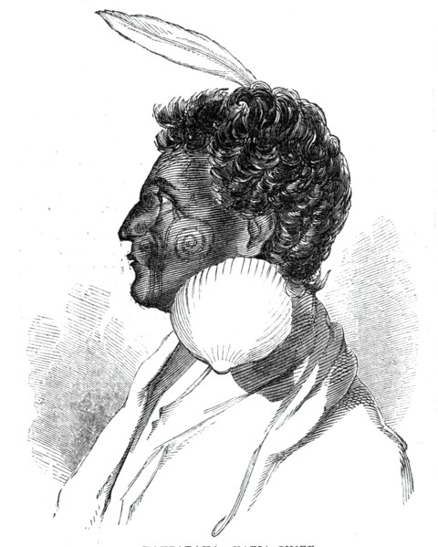 Rauparaha - Kafia Chief