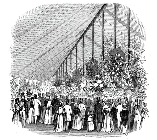 Principal Tent