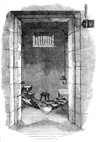 Interior of cell