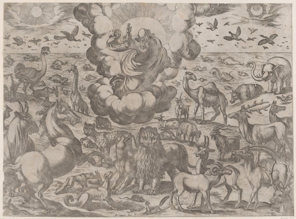 God Creating the Animals