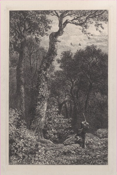 Shooting a Woodcock