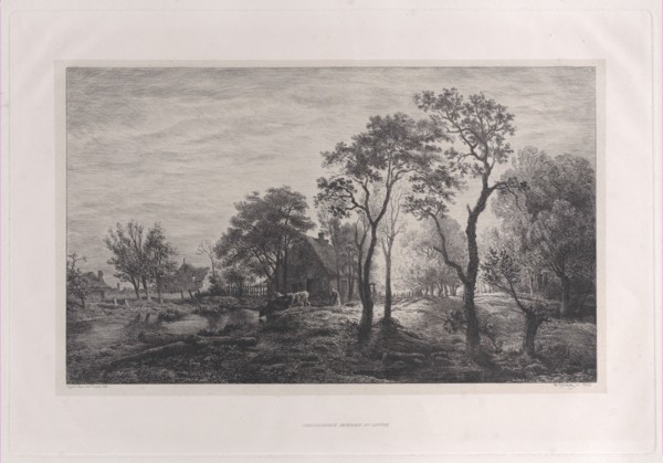 Landscape