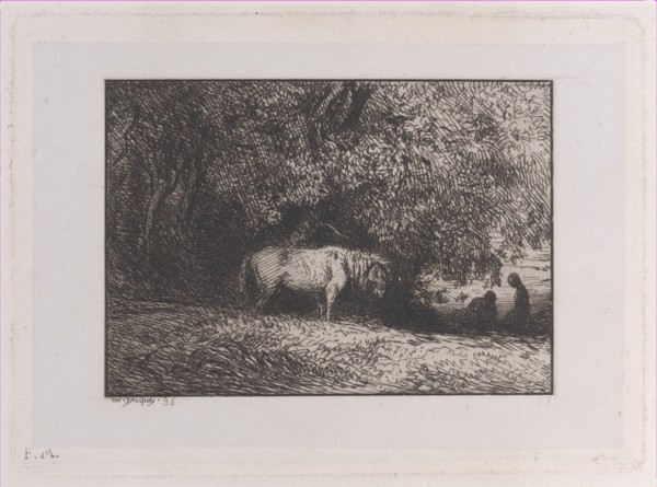 Horse Under a Tree Branch