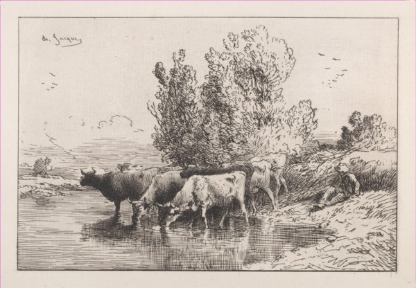 The Trough