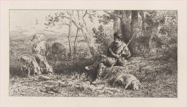 Small Pig Herd