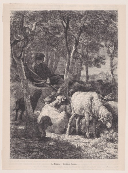 The Shepherd