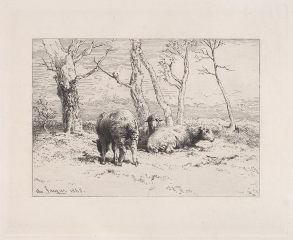 Moutons