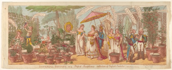 Imperial Botany - or a Peep at Josephine's Collection of English Exoticks