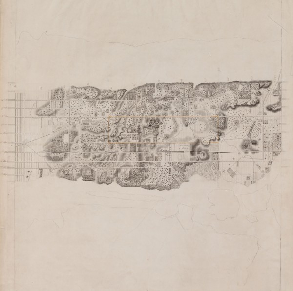 Topographical Map of the City and County of New-York and the Adjacent Country
