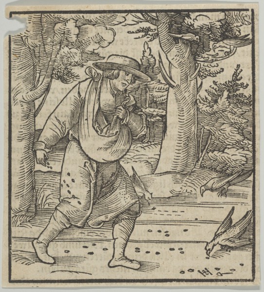 The Birds Eating the Seeds of the Sower