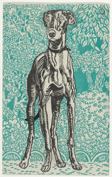 Greyhound