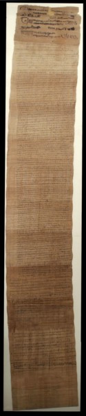 Papyrus