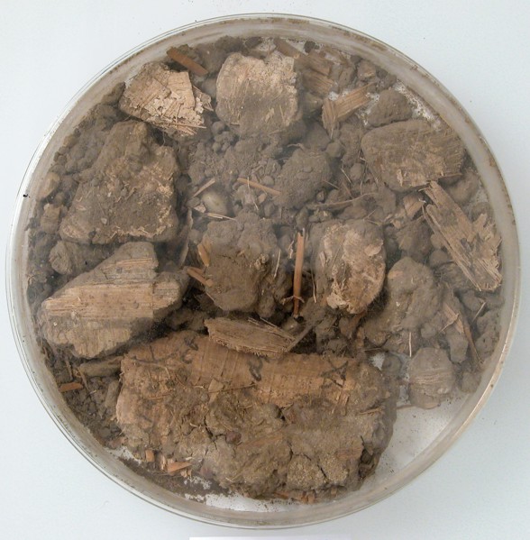 Papyri Fragments and Mud