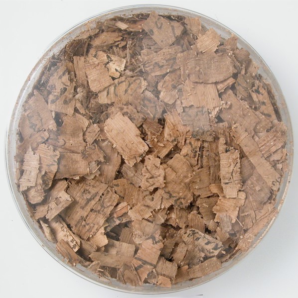 Papyri Fragments