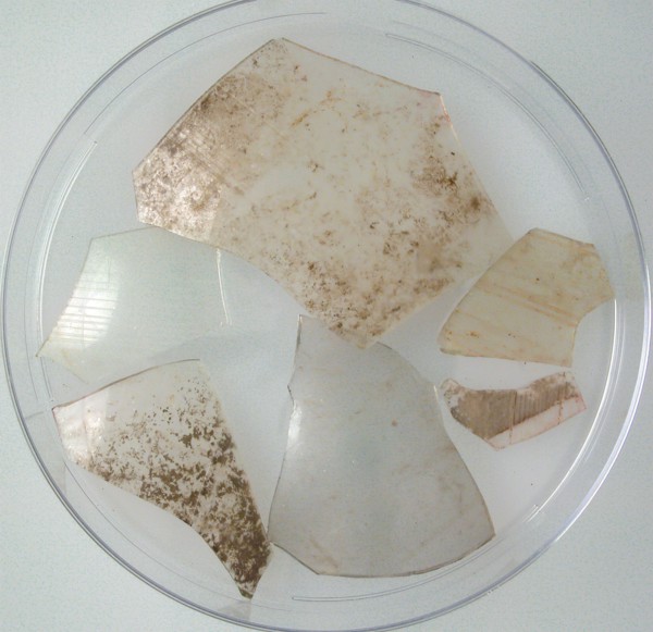 Glass Fragments